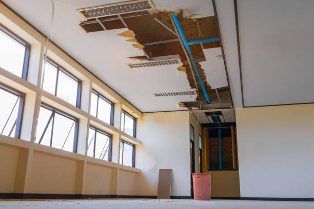 Best Professional water damage repair  in Great Neck Gardens, NY