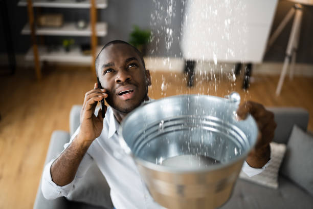 Best Ceiling water damage repair  in Great Neck Gardens, NY