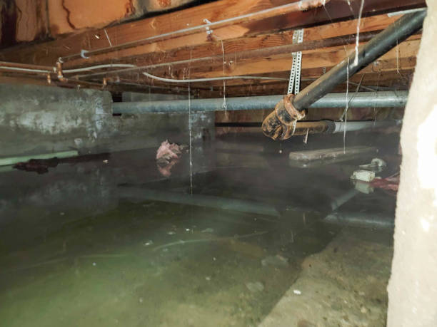 Best Water damage restoration near me  in Great Neck Gardens, NY