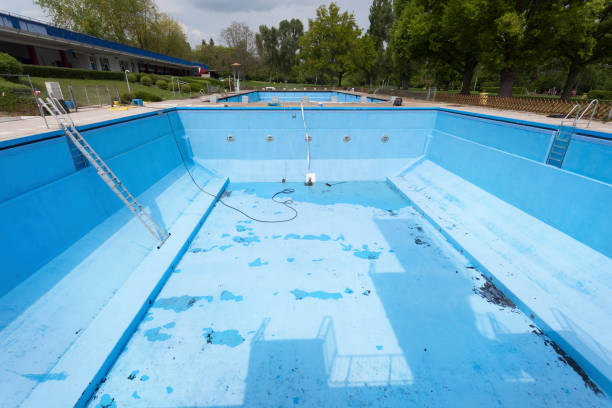 Best Mold removal after water damage  in Great Neck Gardens, NY