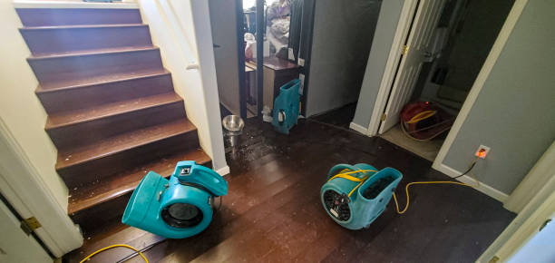 Best Basement water damage restoration  in Great Neck Gardens, NY