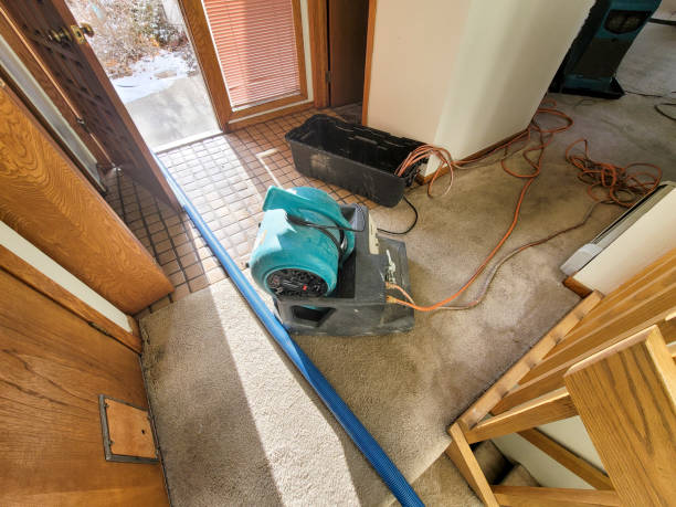 Best Local water damage restoration  in Great Neck Gardens, NY