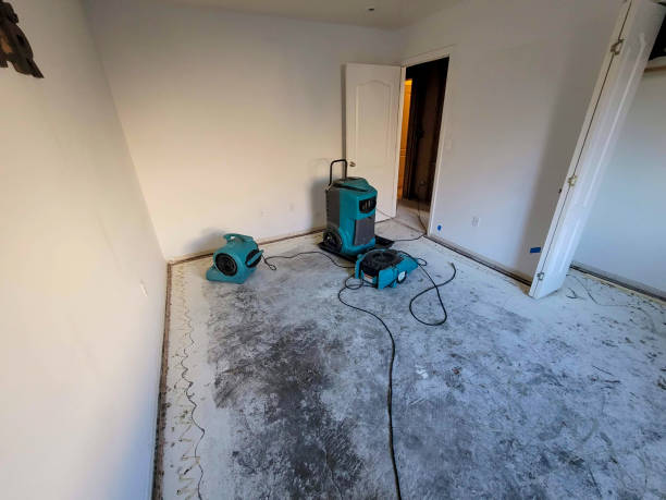 Best Water damage cleanup near me  in Great Neck Gardens, NY