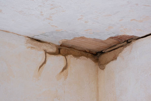 Best Emergency water damage restoration  in Great Neck Gardens, NY