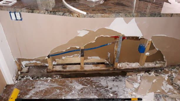 Best Local water damage restoration  in Great Neck Gardens, NY