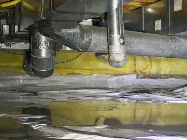  Great Neck Gardens, NY Water damage restoration Pros