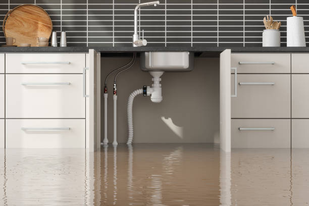 Best Sewage cleanup and water damage restoration  in Great Neck Gardens, NY