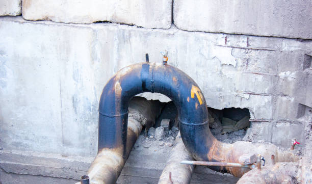 Best Carpet water damage restoration  in Great Neck Gardens, NY