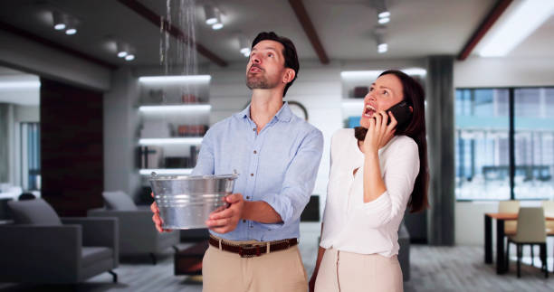 Best Flood damage cleanup  in Great Neck Gardens, NY